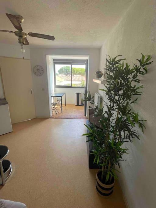 Appartement Port Leucate Buitenkant foto